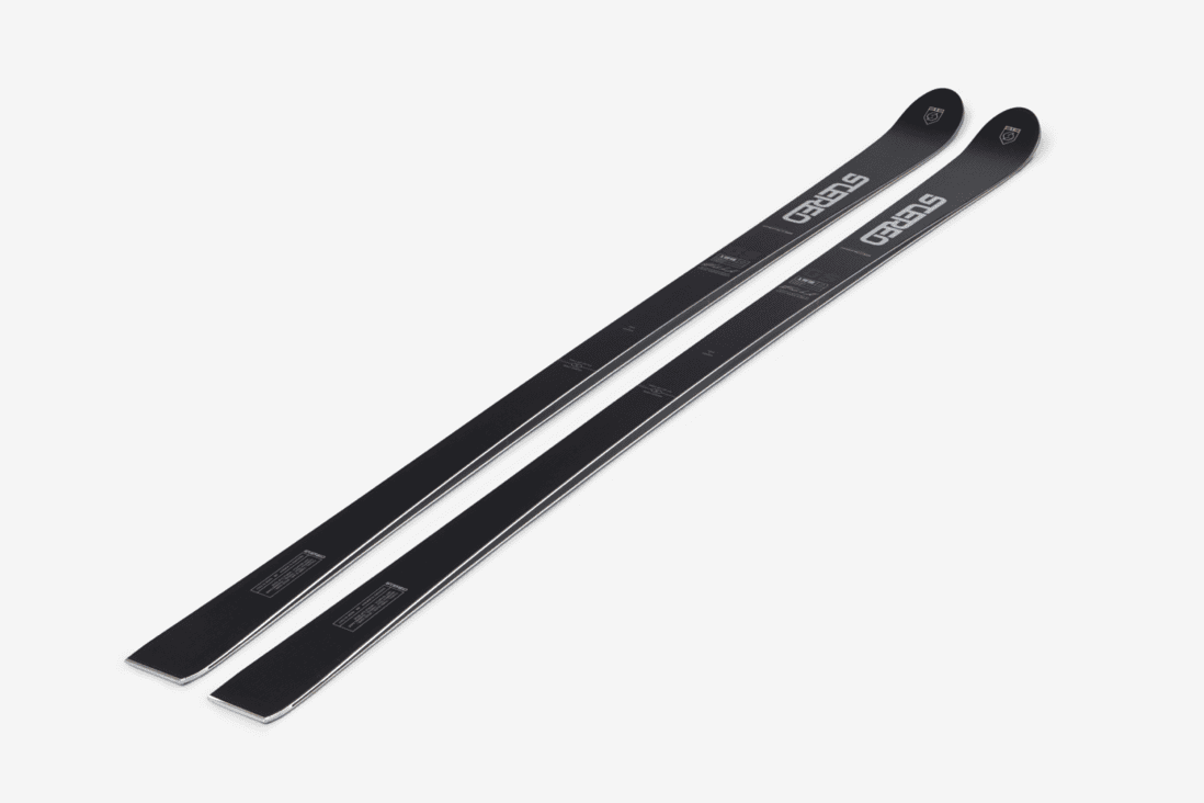 FIS Race GS – Stereoskis